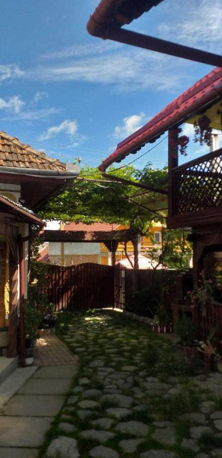 Villa Casa Boierului Imbri Cîrţişoara Exterior foto