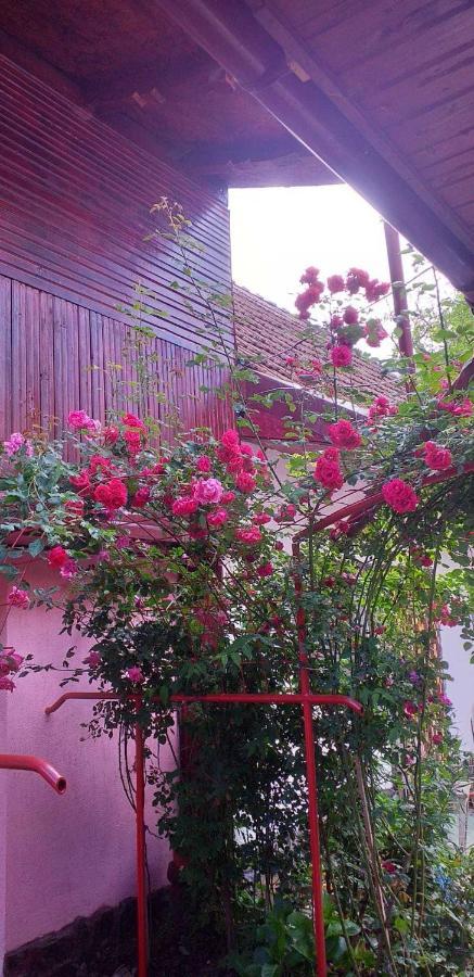 Villa Casa Boierului Imbri Cîrţişoara Exterior foto