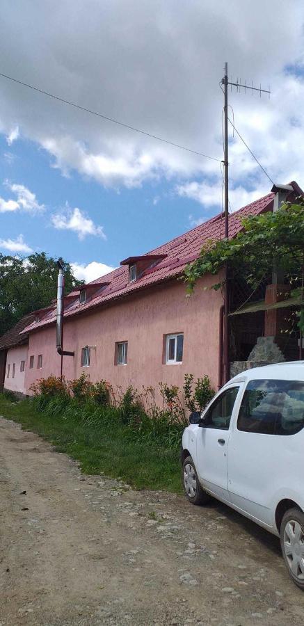 Villa Casa Boierului Imbri Cîrţişoara Exterior foto
