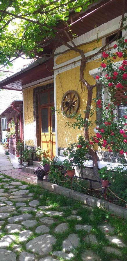 Villa Casa Boierului Imbri Cîrţişoara Exterior foto